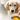 Immune Support Supplements for Dogs: A Pet Parent's Guide