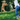 Image of blonde doodle dog jumping in the air next to woman in jeans on grass