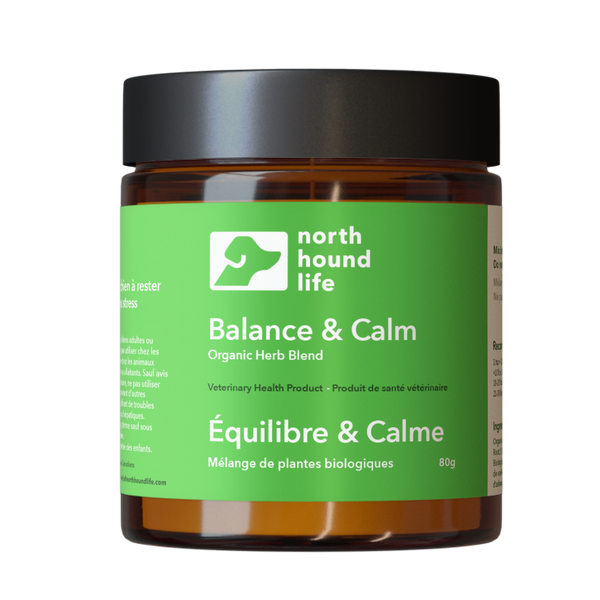 Balance & Calm | Calming Supplement for Dogs | north hound life