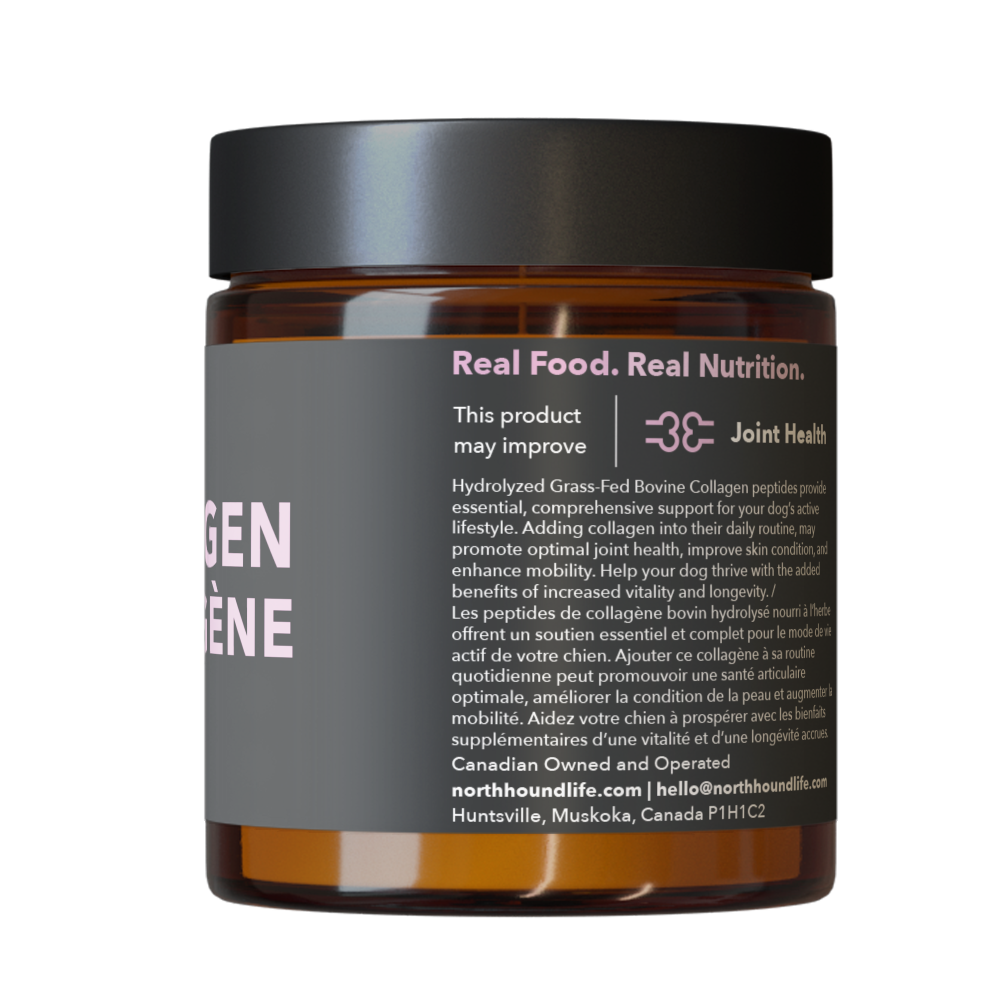 Joint Health For Dogs Natural Supplements For Dog Joint Health joint-health-for-dogs-natural-supplements-for-dog-joint-health