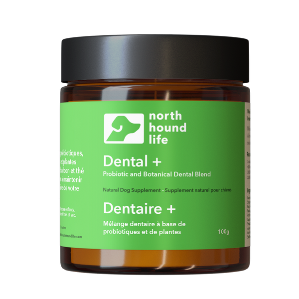 Dental + | Natural Supplement for Dogs | north hound life – North