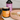 North Hound Life Pure Collagen powder container with a pet food bowl and bottle in the background.