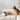 Golden doodle dog and golden retriever dog sitting together on a cream coloured pouf sofa in a concrete room.