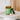 An amber glass jar of North Bound Life Whole Health Guggenberg's Sansevieria plant-based supplement, shown with its green label and black lid on a white pedestal stand, alongside a small wooden spoon of white powder.