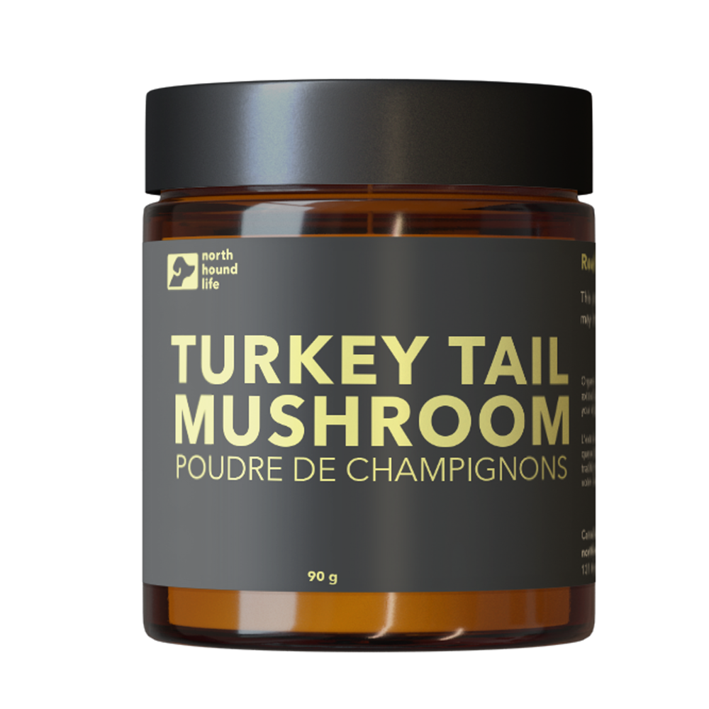 Turkey tail dosage sales for dogs with cancer