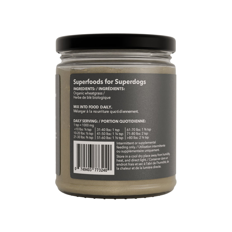 Wheatgrass - Superfood Greens for Dogs | Natural Supplement | North ...